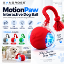 motionpaw-interactive-dog-ball