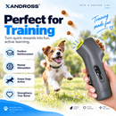 Automatic Pet Treat Launcher for Interactive Play
