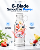 BlendGo Portable 6-Blade Smoothie Blender